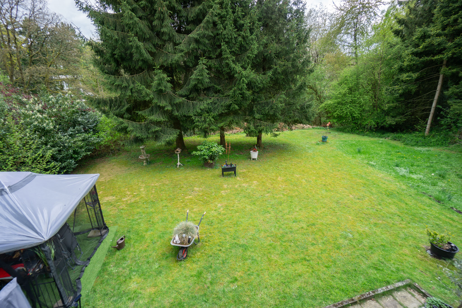 EG Blick in den Garten