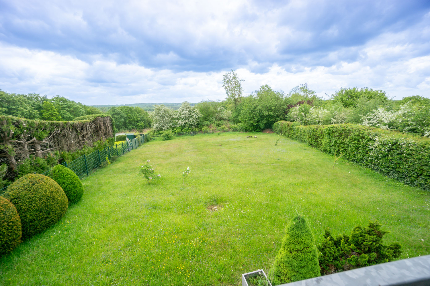EG Blick in den Garten