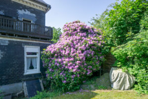 Garten (2)
