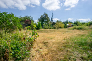 Garten (1)
