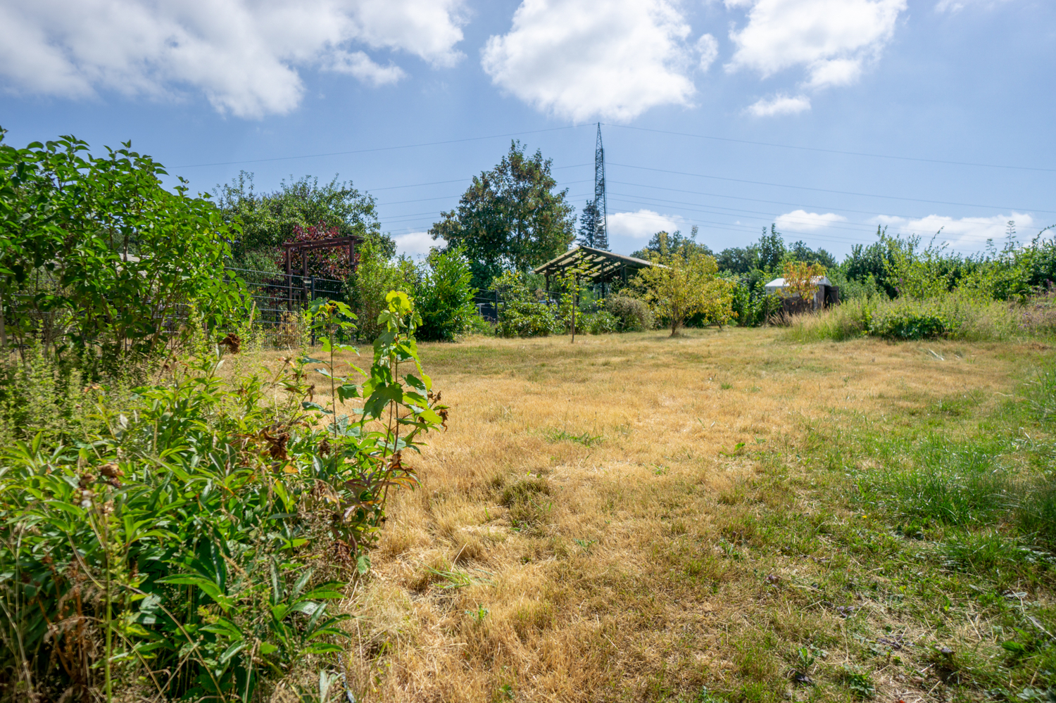 Garten (1)