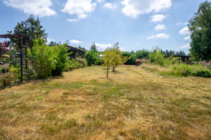 Garten (3)