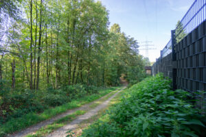 Waldzutritt (2)