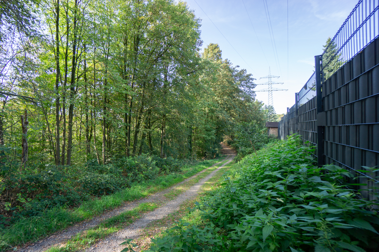 Waldzutritt (2)