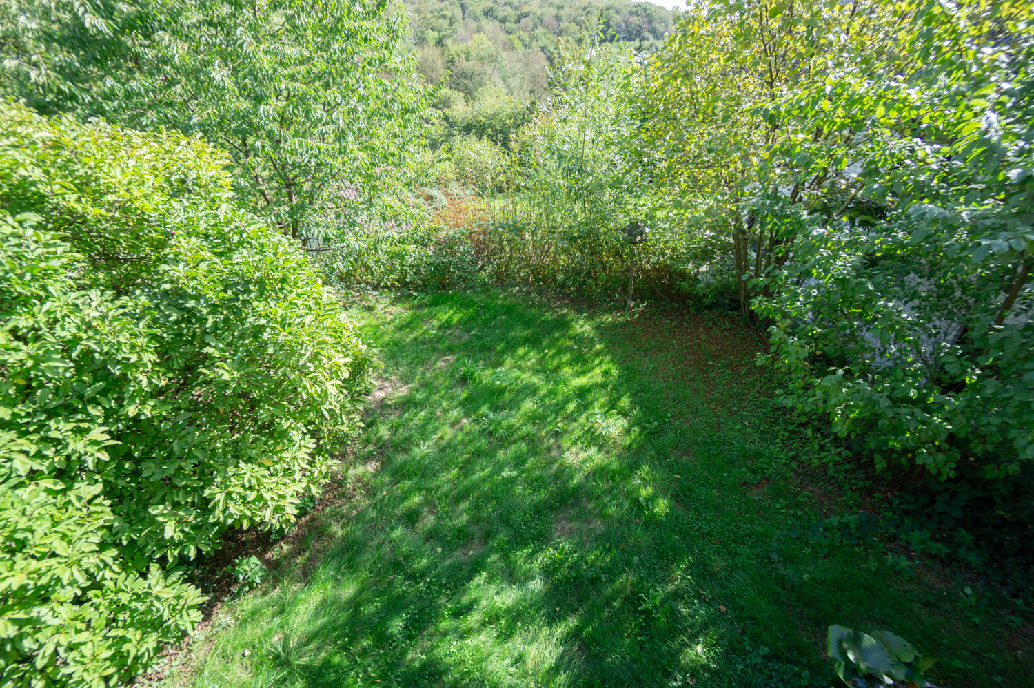 Blick in den Garten