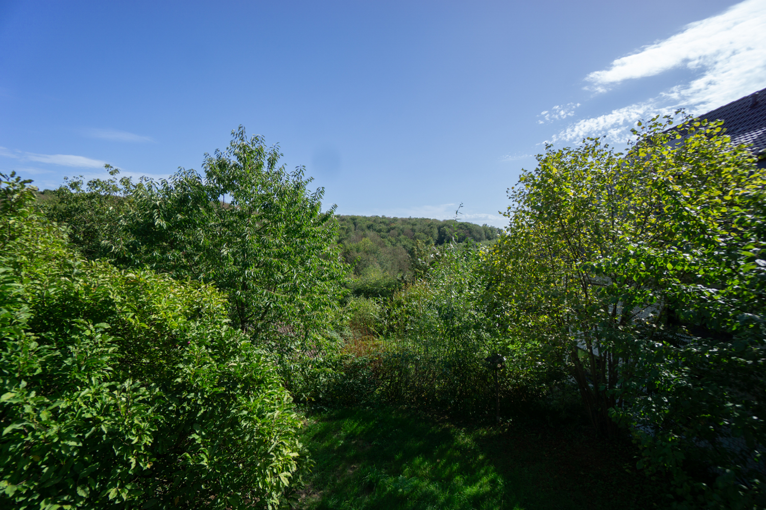 Ausblick Terrasse