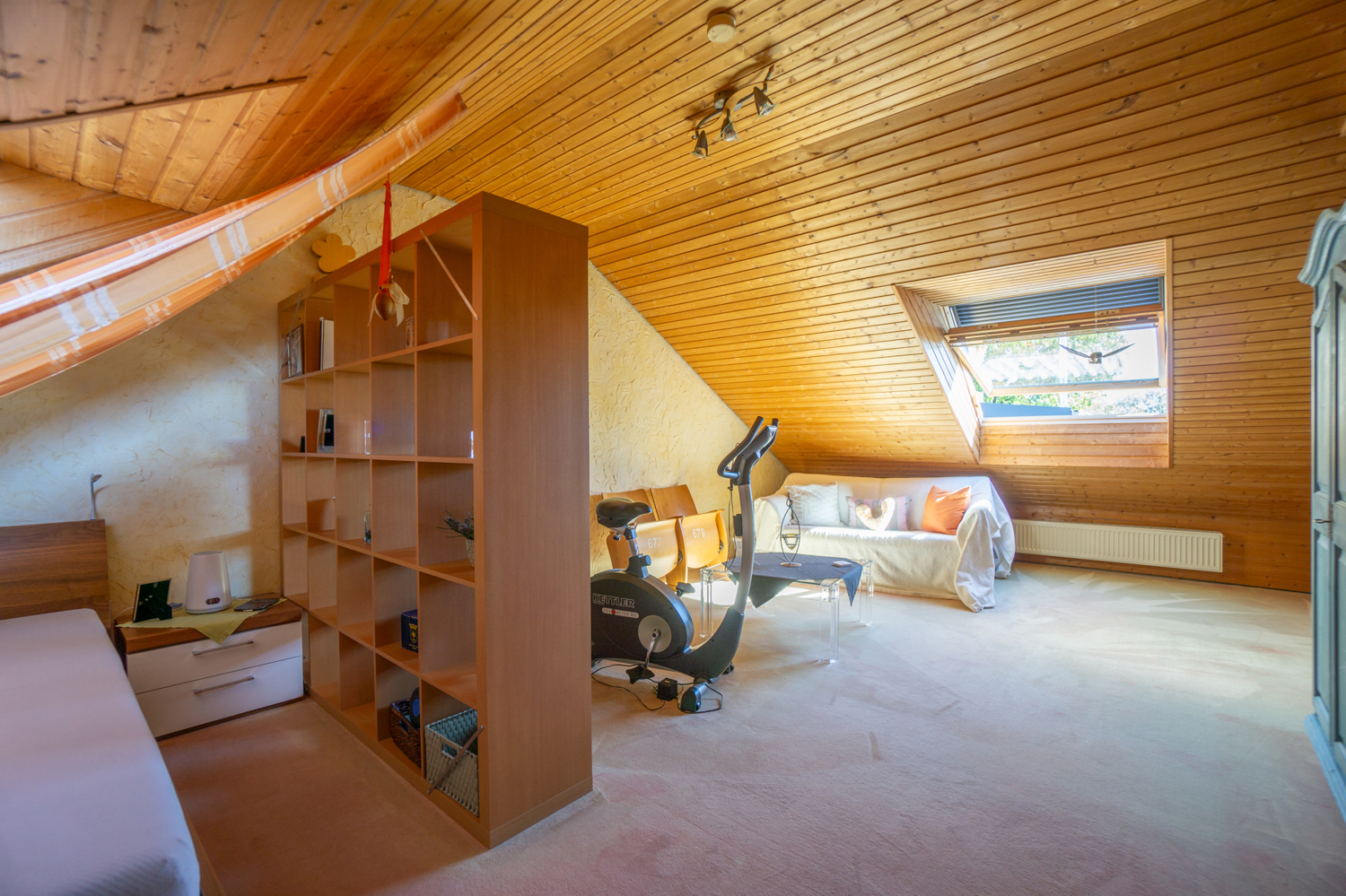 DG Studio