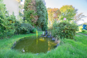 Garten (2)