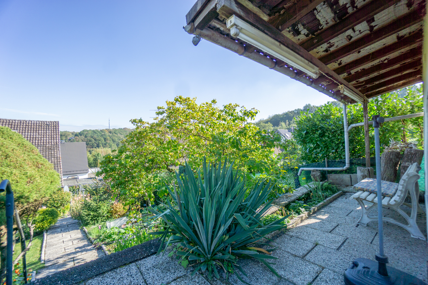 Garten (2)