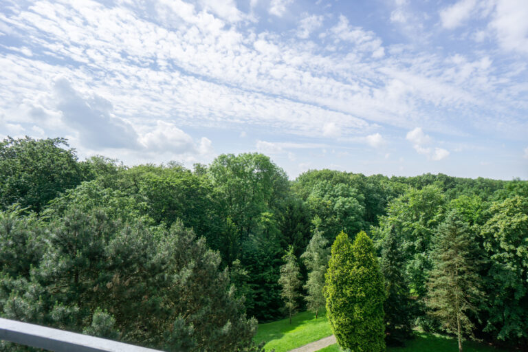 Ausblick Balkon