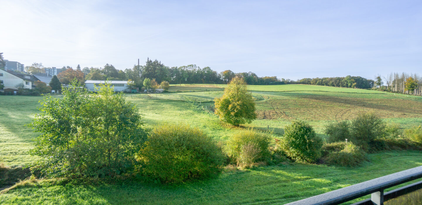 Ausblick Terrasse