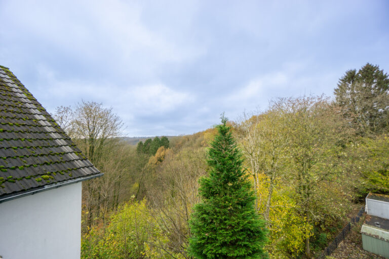 Aussicht Balkon