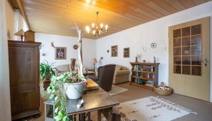 Wohnzimmer (2)