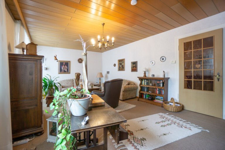 Wohnzimmer (2)