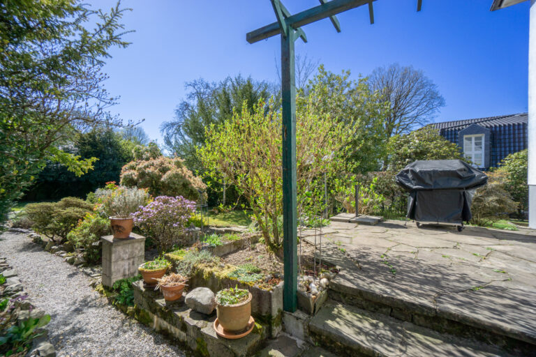 Garten (6)
