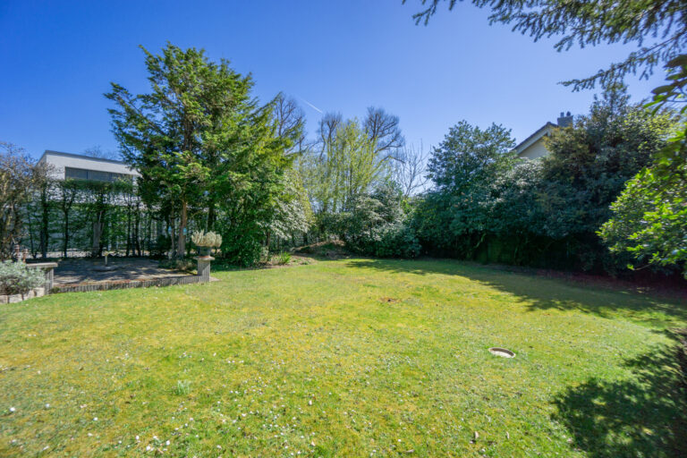 Garten (2)