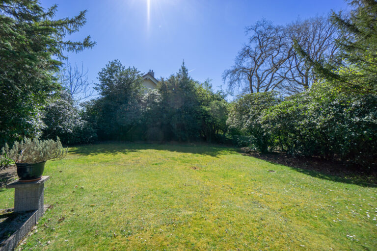 Garten (1)