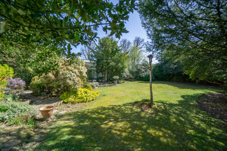 Garten (5)