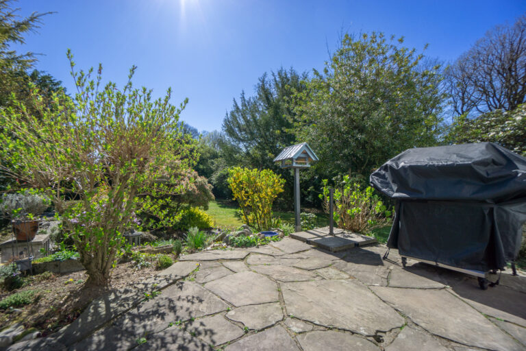 Garten (7)