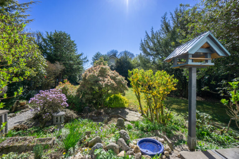 Garten (8)