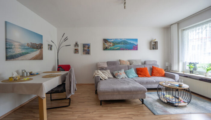 152 EGR Wohnzimmer (2)